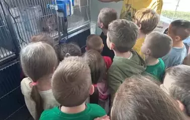 Szpital dla zwierząt - pokaz sali z kr&oacute;tkim komentarzem  medycznych przypadk&oacute;w