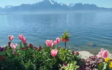 Piękny krajobraz w Montreux