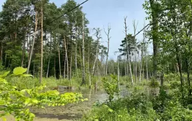 Kraina bobr&oacute;w