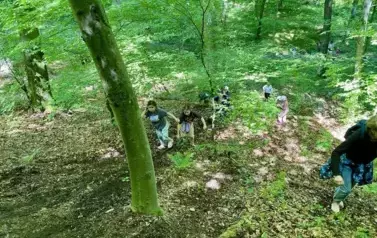 Wspinaczka leśnymi ścieżkami