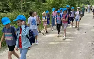 Wędr&oacute;wka leśnym duktem