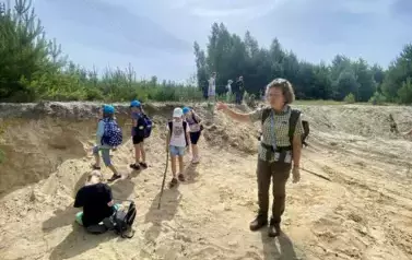 Pani Leśnik opowiada o warunkach wzrostu sosny