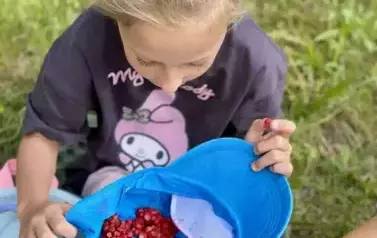 Zuzia z leśnymi smakołykami