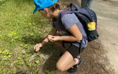 Lila z klasy II b zbiera poziomki