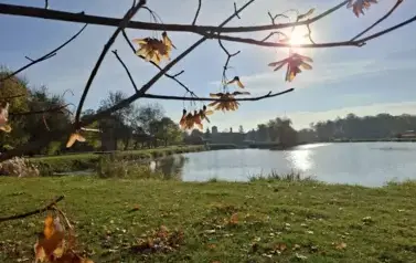 II miejsce - Urszula Orkisz - Publiczna Szkoła Podstawowa nr 2 w Staszowie