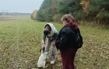 Piesek głaskany przez dziewczynkę