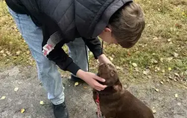 Zabawy z pieskiem na spacerze