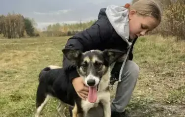 Radość ze spaceru z pieskiem