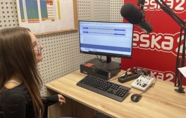 Serwis mikołajkowy