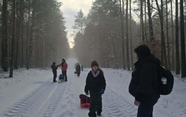 Wędr&oacute;wka przez las