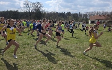 Start biegu w kategorii dziewcząt rocznik 2013-2014