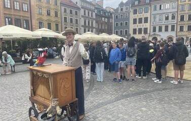 Kataryniarz na starym mieście