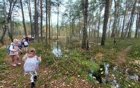 Dzieci z klasy 1 b wędrują leśnymi ścieżkami w Golejowie