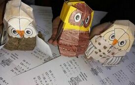 Sowy 3D