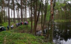 Grupa dzieci przemierza leśne ścieżki
