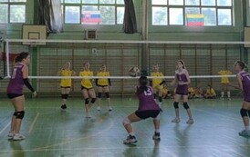 Oliwka w przyjęciu