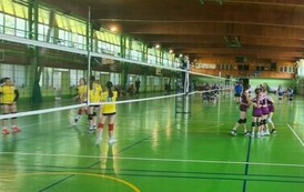 Podczas meczu Opole Stasz&oacute;w