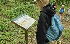 Janek czyta informacje przedstawione na tablicy