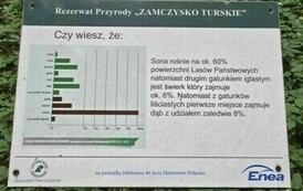 Informacja o zasobach leśnych