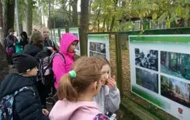 Uczniowie klasy 5 a i 4 c na ścieżce edukacyjnej Małe Mazury