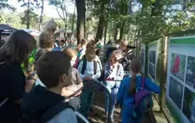 Uczniowie klasy 4 a i 4 b na ścieżce edukacyjnej Małe Mazury