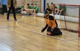 Obrona karnego