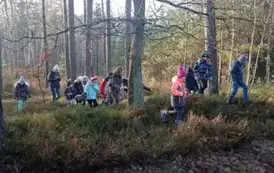 Spacer leśnymi ścieżkami 