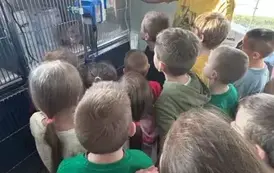 Szpital dla zwierząt - pokaz sali z kr&oacute;tkim komentarzem  medycznych przypadk&oacute;w
