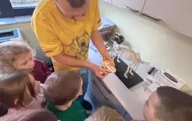 Szkielet czworonoga z kr&oacute;tkim om&oacute;wieniem