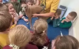 Badanie psa przy użyciu stetoskopu