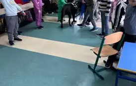 Zabawa ruchowa z udziałem Barego