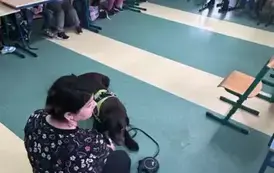 Pogadanka o opiece nad psem