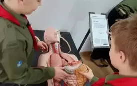 Eksperymenty w SOWIE