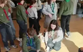 Zajęcia w SOWIE