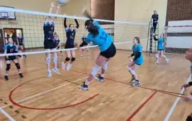 Oliwka w ataku