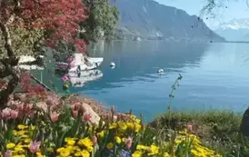 Piękny krajobraz w Montreux