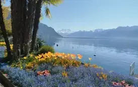 Piękny krajobraz w Montreux
