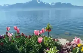 Piękny krajobraz w Montreux