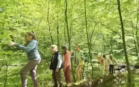 Pokonywanie leśnych przeszk&oacute;d przez uczni&oacute;w klasy 2 b