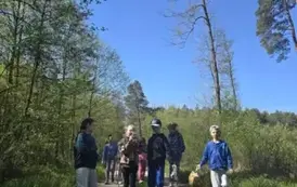 Uczniowie klasy 2 b podczas sprzątania lasu