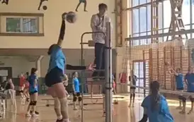 Oliwka w ataku