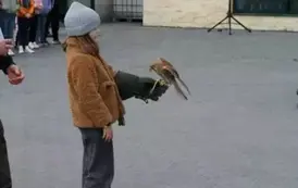 Dziewczynka z pustułką