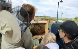 Uczniowie u pszczelarza