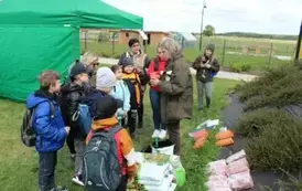 Dzieci sieją kocimiętkę