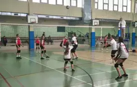 Lilia w przyjęciu