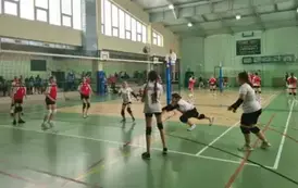 Alicja w obronie