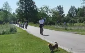 W drodze do Kurozwęk