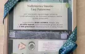 Giga laurka dla leśnika