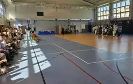 Hala sportowa i dekoracje z oddali