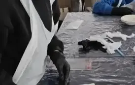 Tosia z klasy 3 b ozdabia czekoladę